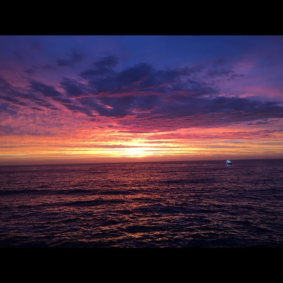 Meet your Posher, Teresa - Picture 1 of 1